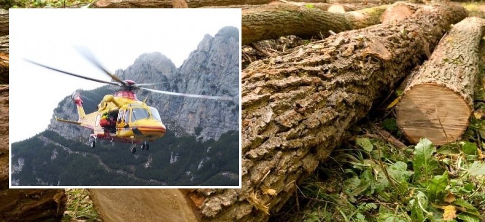 Incidente sul lavoro nei boschi trentini: un 27enne travolto da una pianta a Tonadico